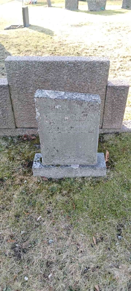 Hautatunnus: 3 Nya E   171-172