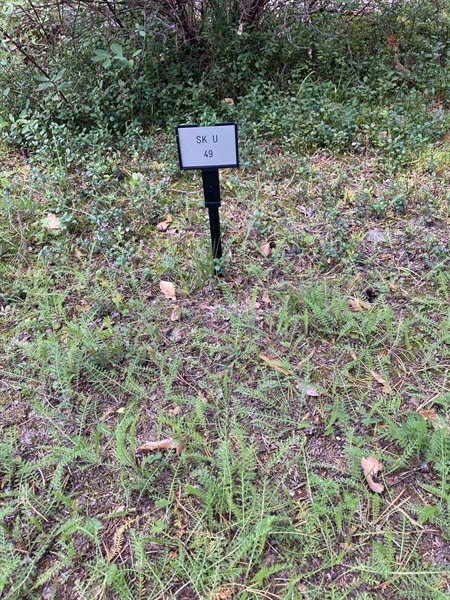 Hautatunnus: SK U    49