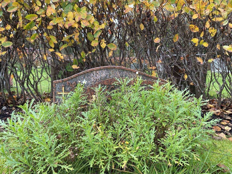 Gravnummer: 1 22    U12