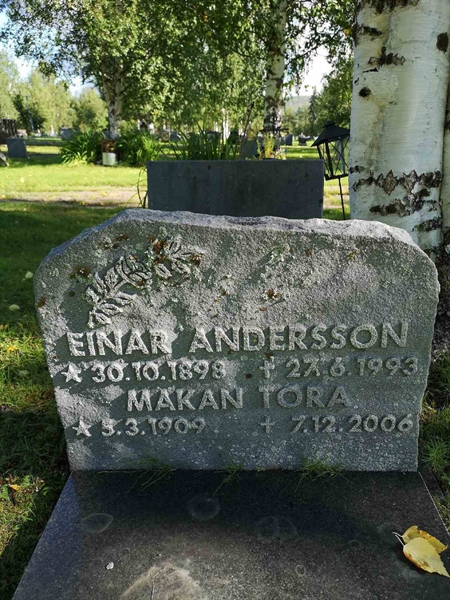 Hautatunnus: NK 18    38