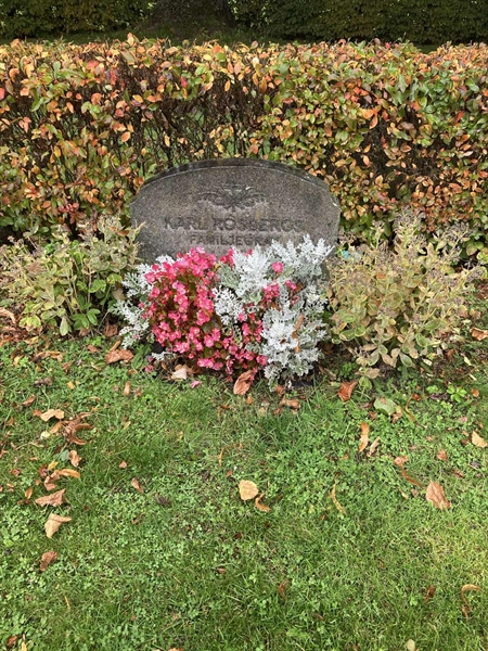 Hautatunnus: 2 N 376-377