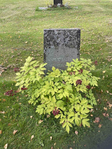 Grave number: 4    25