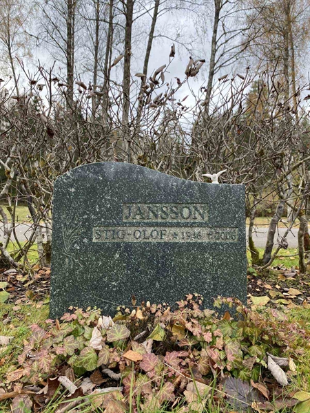 Grave number: 1 29     41