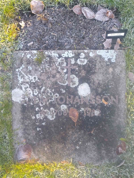 Grave number: H 093 009-09
