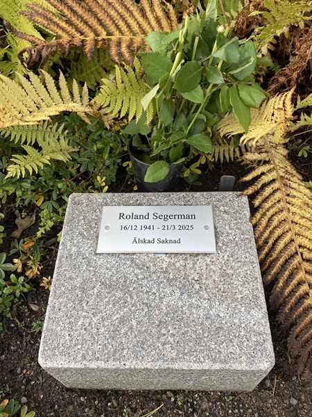 Gravnummer: 2 B    25