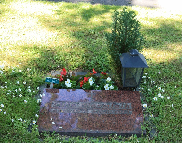 Grave number: Ö 45   141