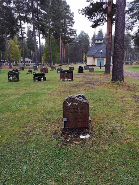 Hautatunnus: VLM 13    87-88