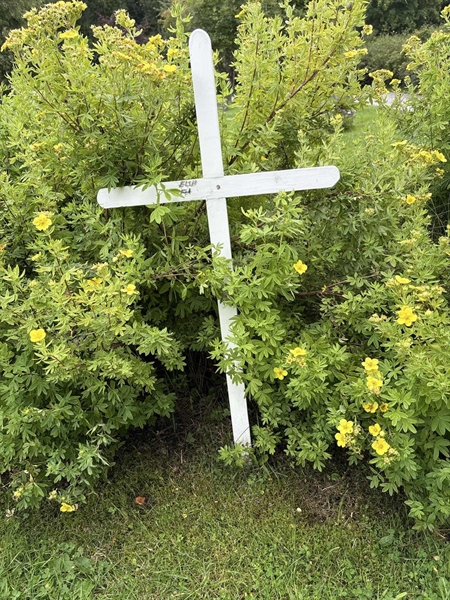 Grave number: SÄ NYA   310-311
