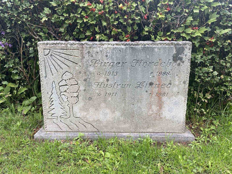 Grave number: 3 13 156