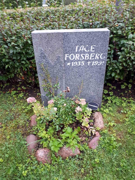 Gravnummer: NK F D   212