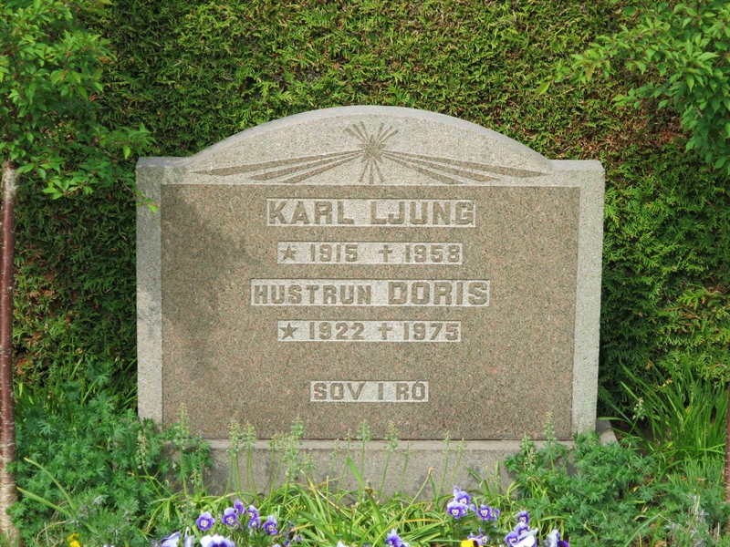 Grave number: HÖB 48    29
