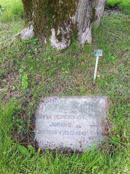 Gravnummer: NK A A   231