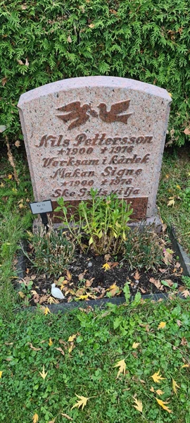 Grave number: M 13   26