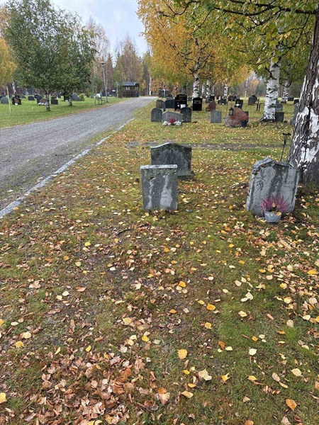 Hautatunnus: NK 17    94