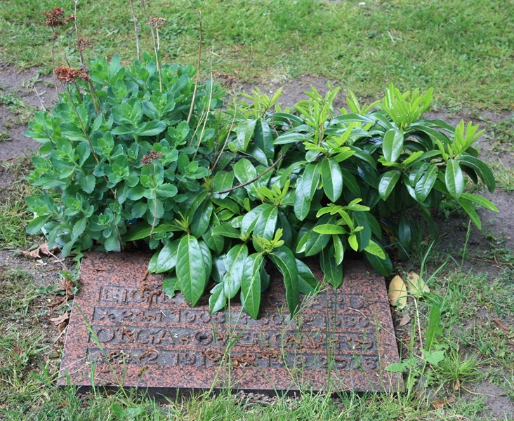 Grave number: Ö 45    82