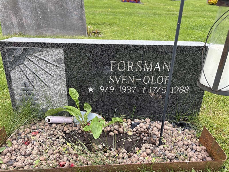 Grave number: SÄ NYA   363-364
