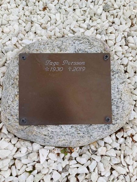 Hautatunnus: SA AGP4 42