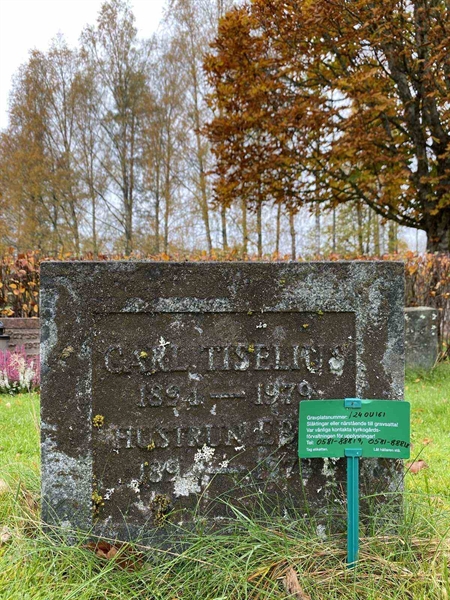 Hautatunnus: 1 24    161