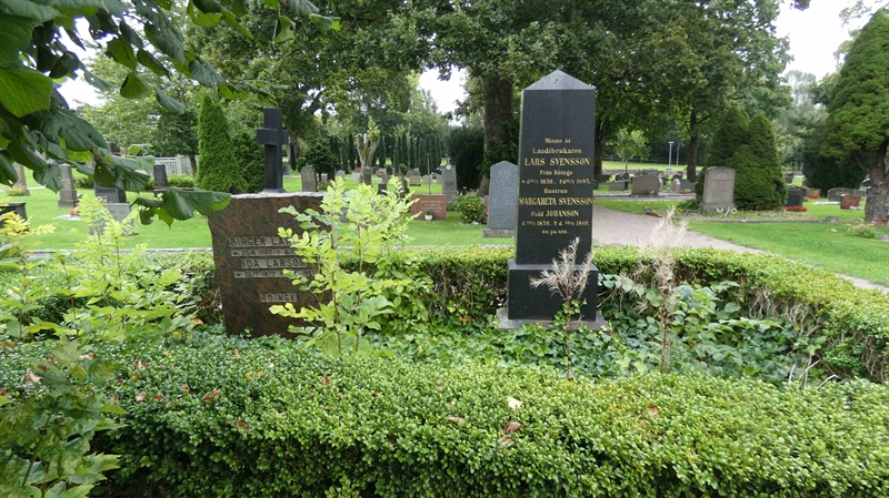 Grave number: SN C    81