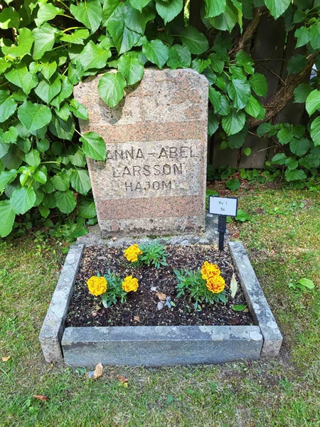 Grave number: Jä 01    84