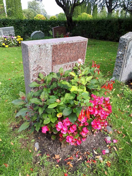 Hautatunnus: NK F D    64