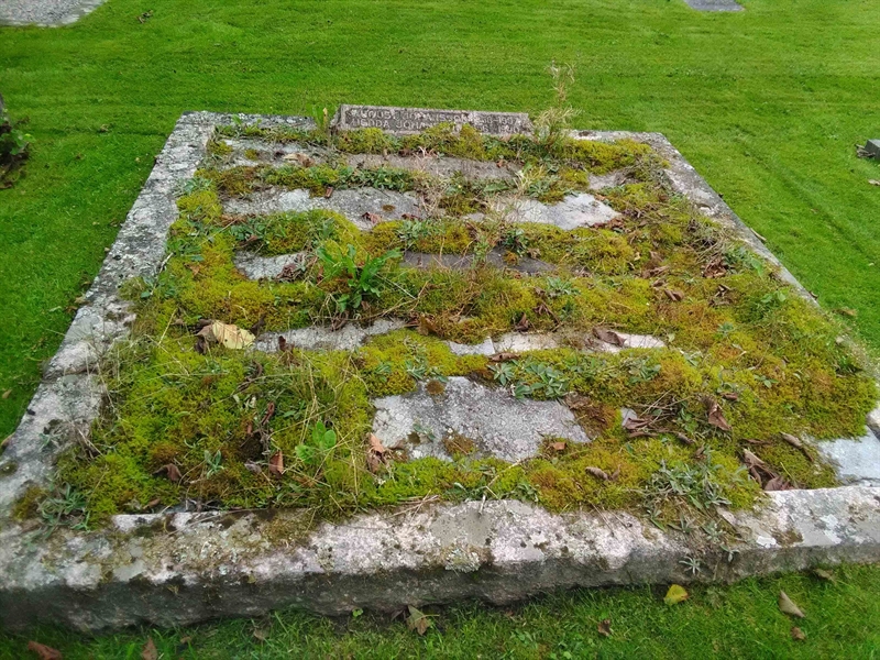 Grave number: ÅS G G G   117, 118