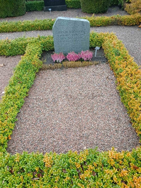 Grave number: sv  1242
