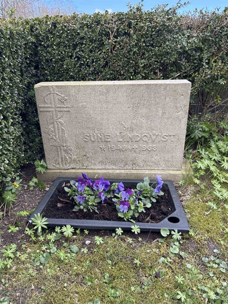 Gravnummer: FA    20