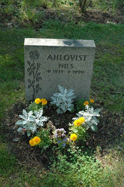 Grave number: H 3   35