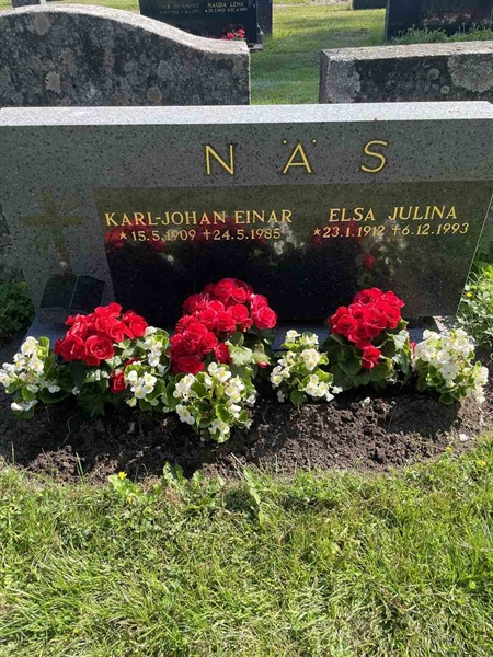 Hautatunnus: N 5 2   236