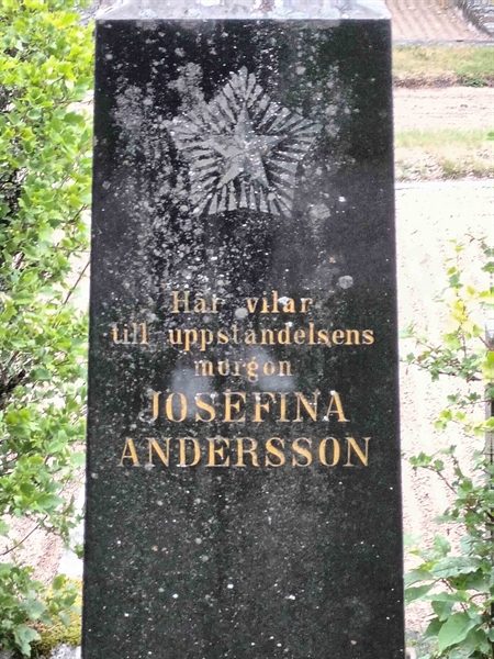 Grave number: SÖ 05   195