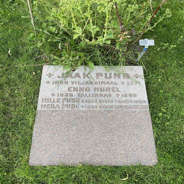 Hautatunnus: 1 T   188