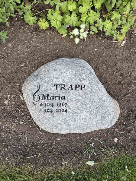 Grave number: G 12   104