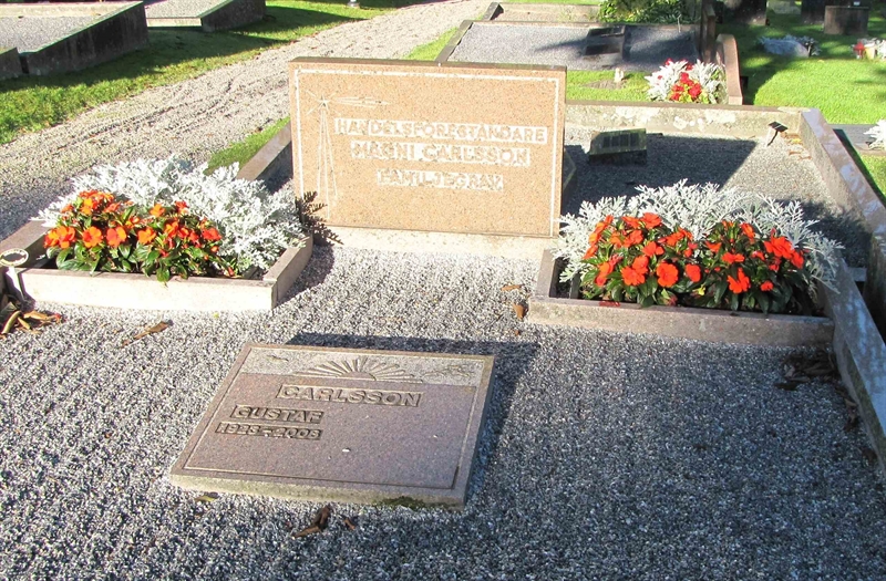 Grave number: HG MÅSEN   450, 451