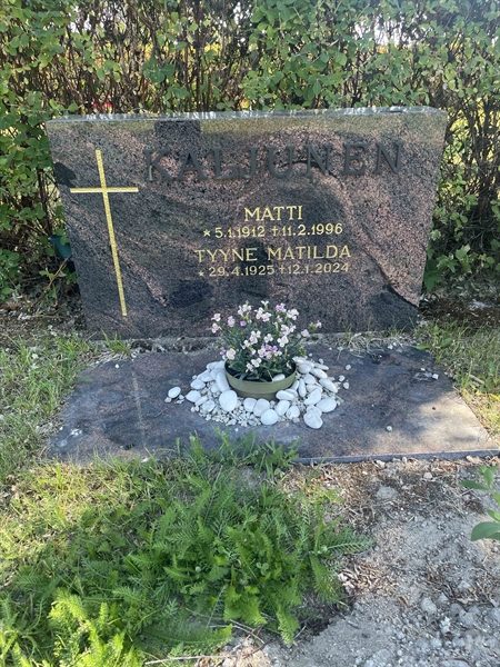 Hautatunnus: N 8 3 13-14
