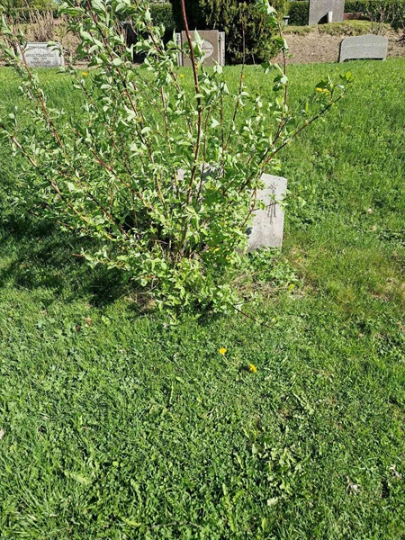 Grave number: 501 25 5007-5009