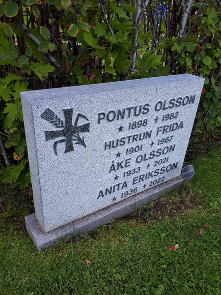 Hautatunnus: NK F B   157