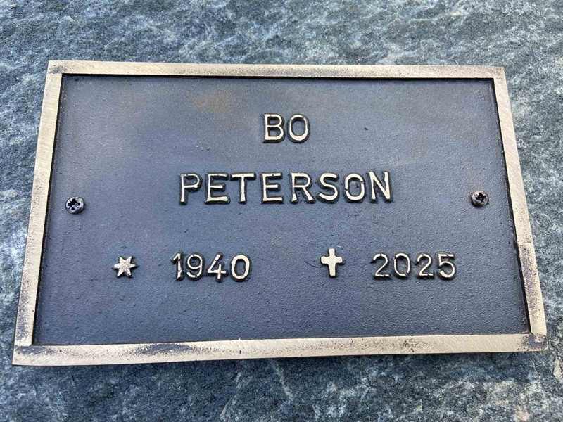 Grave number: 1 33     83