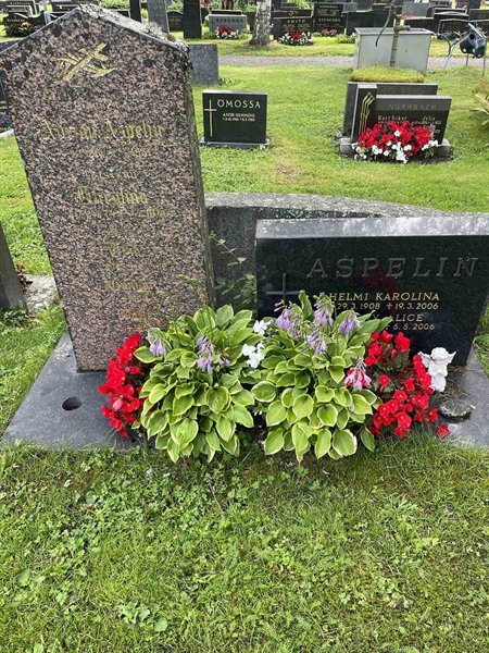 Gravnummer: N 4 3   377