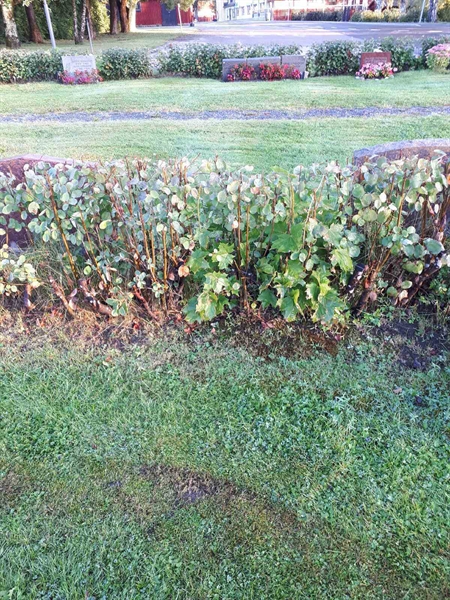 Grave number: NK F B    29