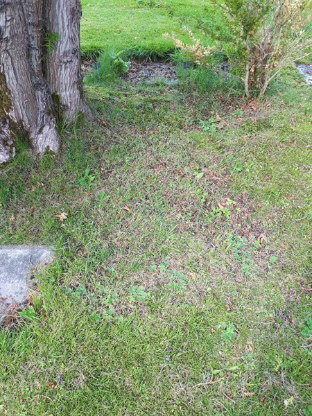 Gravnummer: NK A A   230