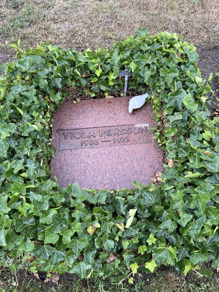 Grave number: NK XV:u    79