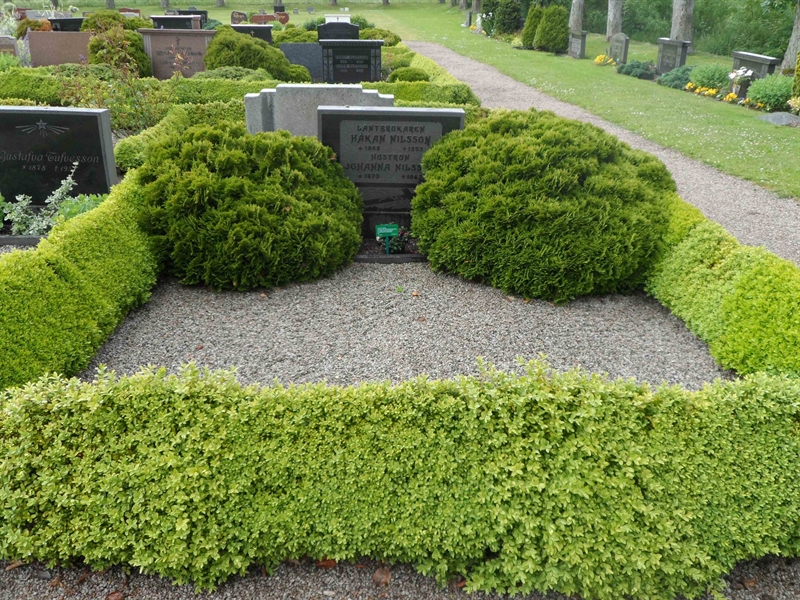 Grave number: ÖV H    43, 44
