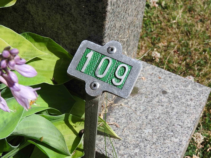 Hautatunnus: BRO 1   109