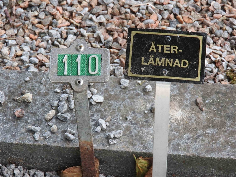 Hautatunnus: BRO 1   110