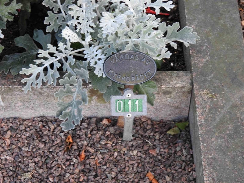 Grave number: BRO 1    11