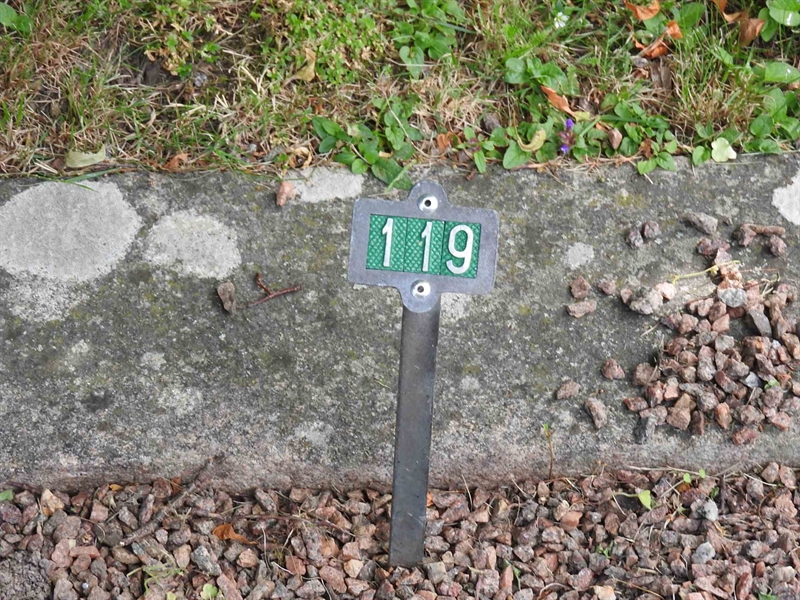 Hautatunnus: BRO 1   119