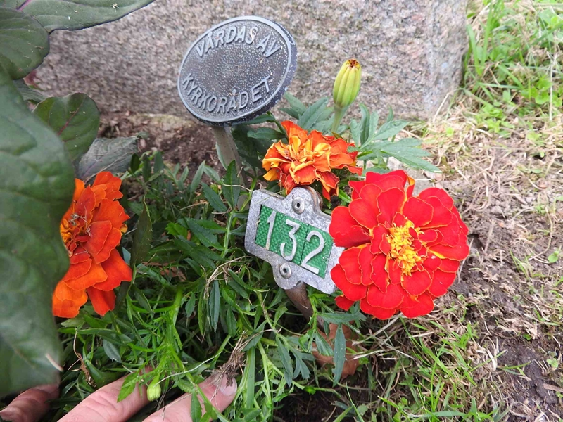 Hautatunnus: BRO 1   132