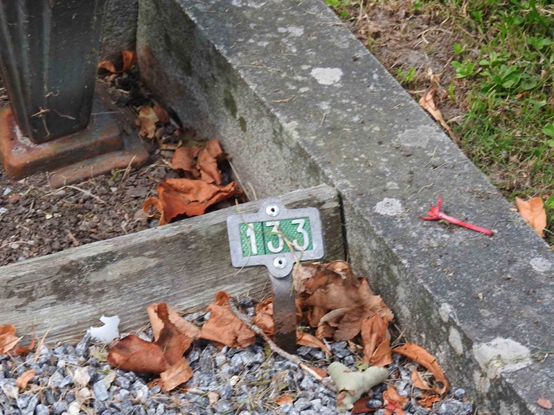 Hautatunnus: BRO 1   133