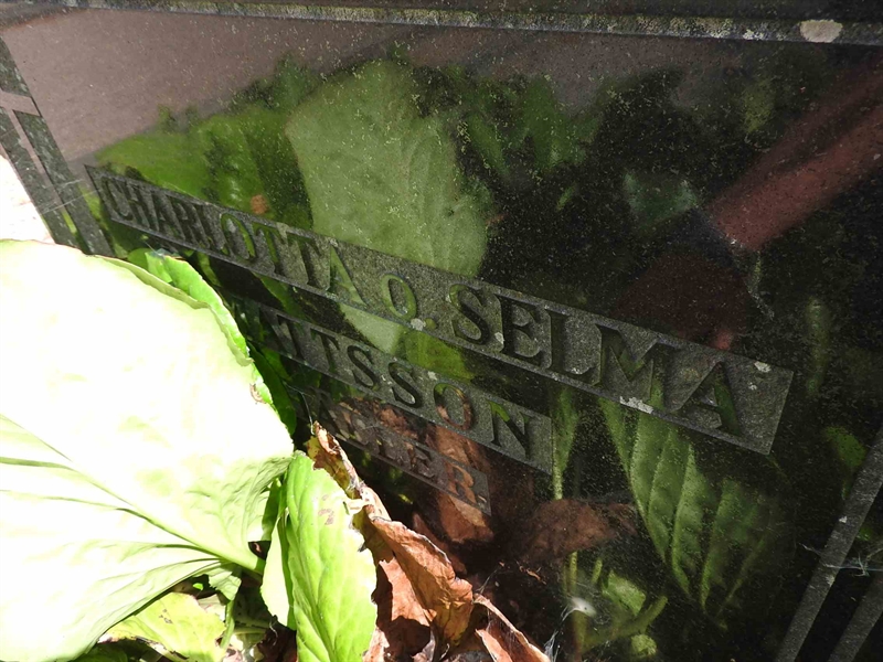 Hautatunnus: BRO 1   143